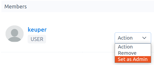 project-member-set-admin.png